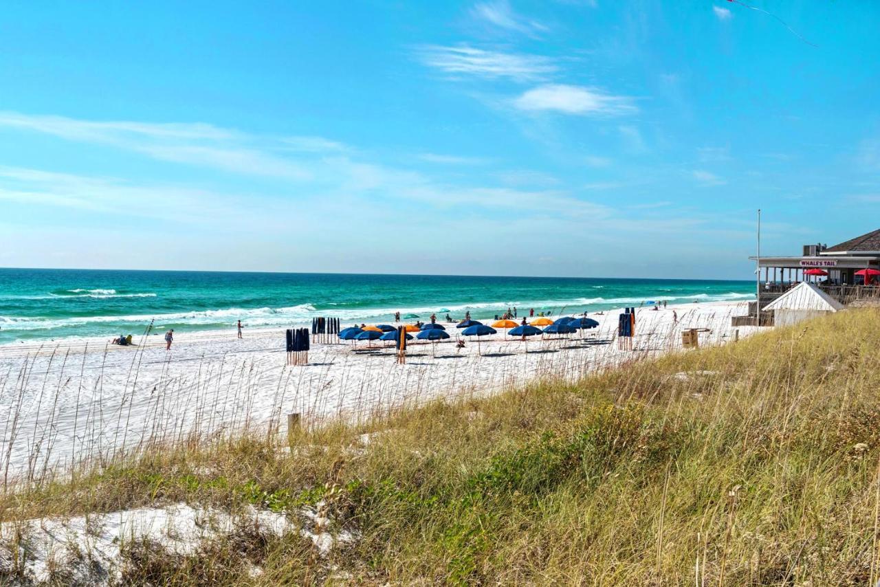 Ariel Dunes I 1609 Destin Luaran gambar
